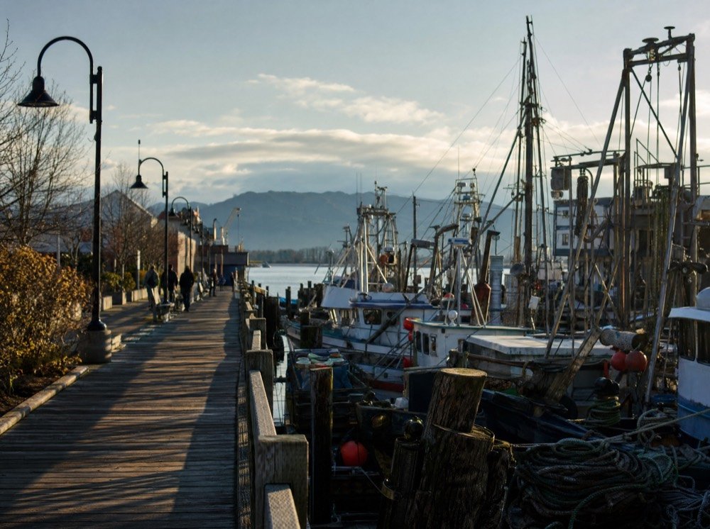 A boardwalk along a working fishing harbour with moored boats and mountains beyond